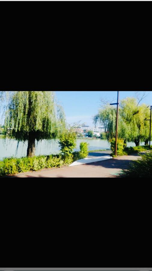 By The Lake Apartment Клуж-Напока Екстериор снимка